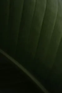 meilleur livret